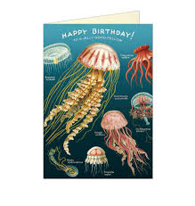 Happy Birthday Jellyfish Card