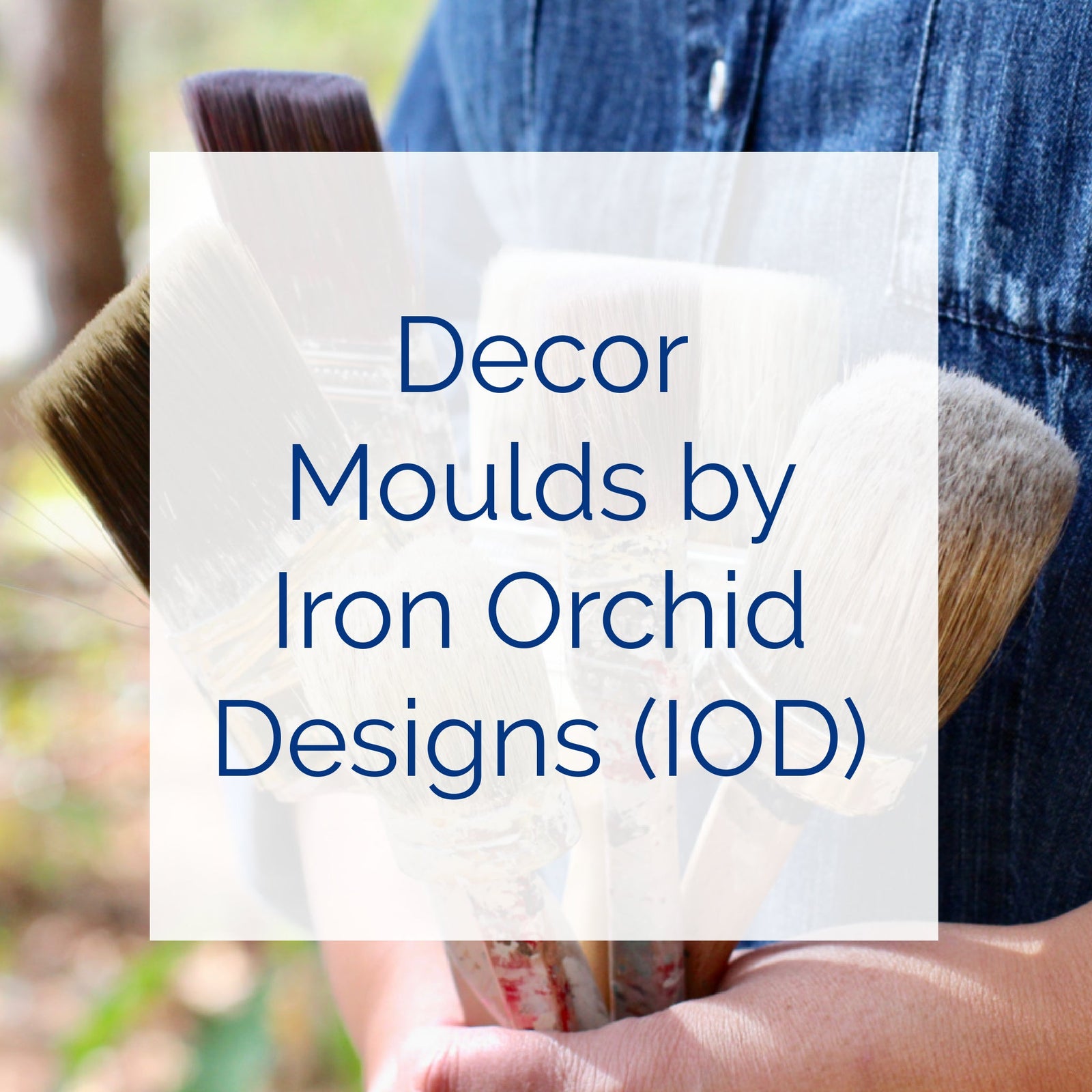 IOD Decor Moulds