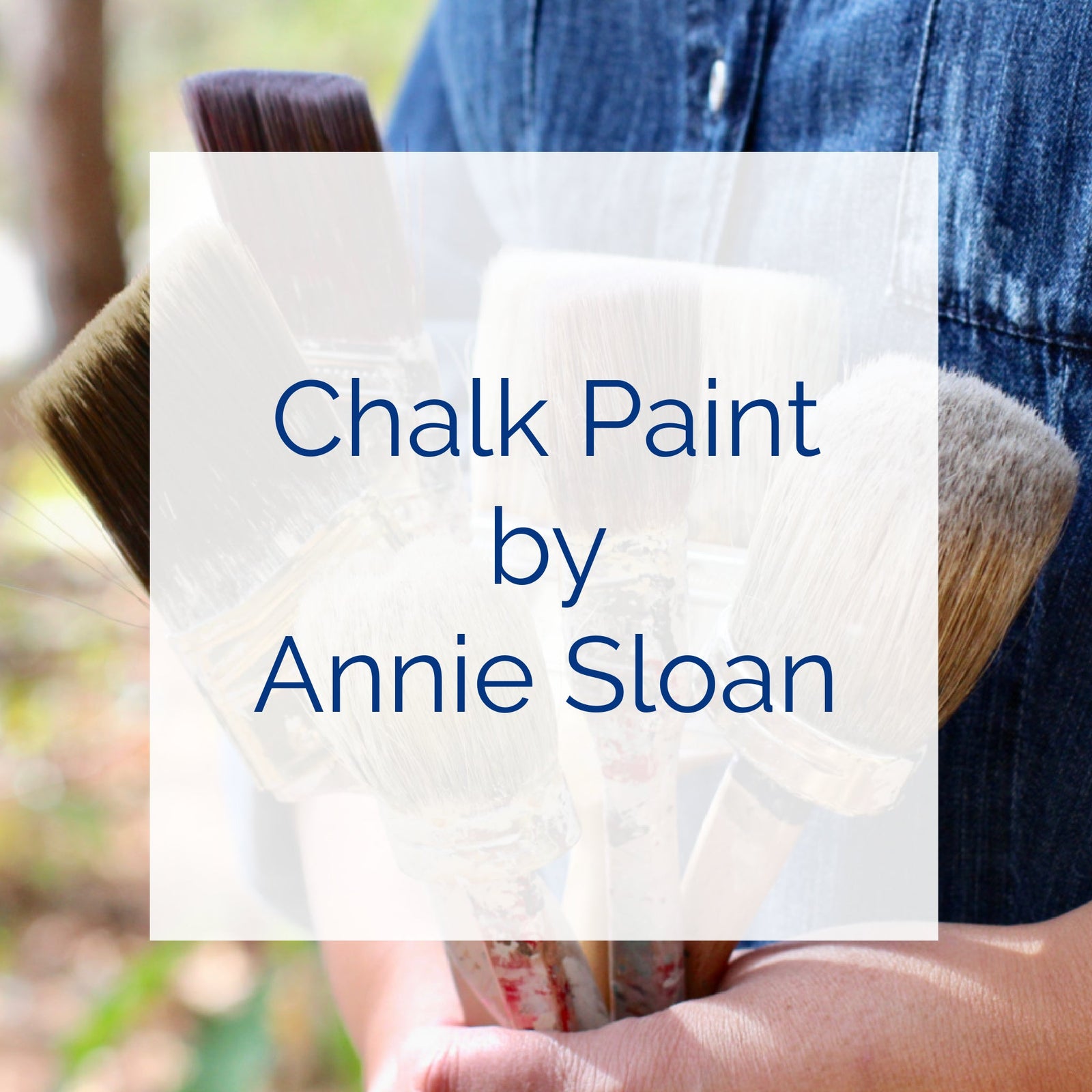 Chalk Paint by Annie Sloan