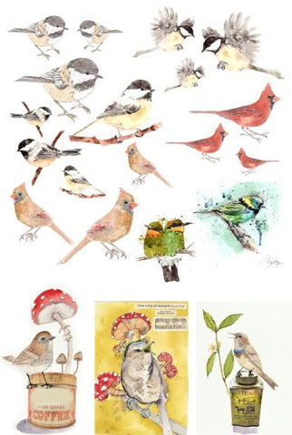Catalogue of Birds Decoupage Paper