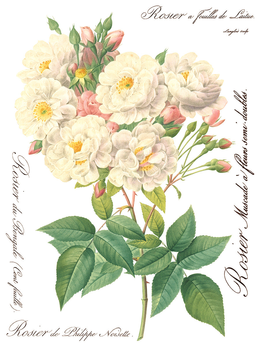 Rose Botanical IOD Decor Transfer