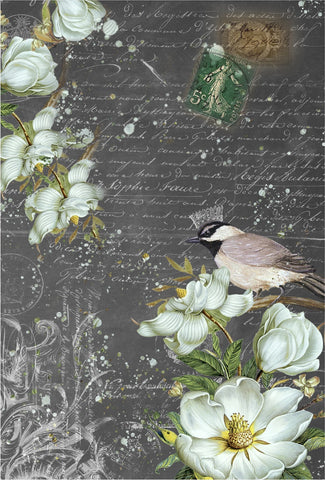 Summer Bird Decoupage Paper *NEW*