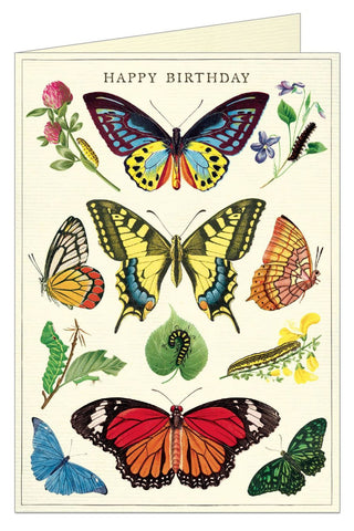 Happy Birthday Butterflies Card