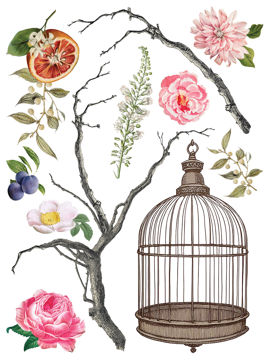 Menagerie IOD Decor Transfer *NEW*