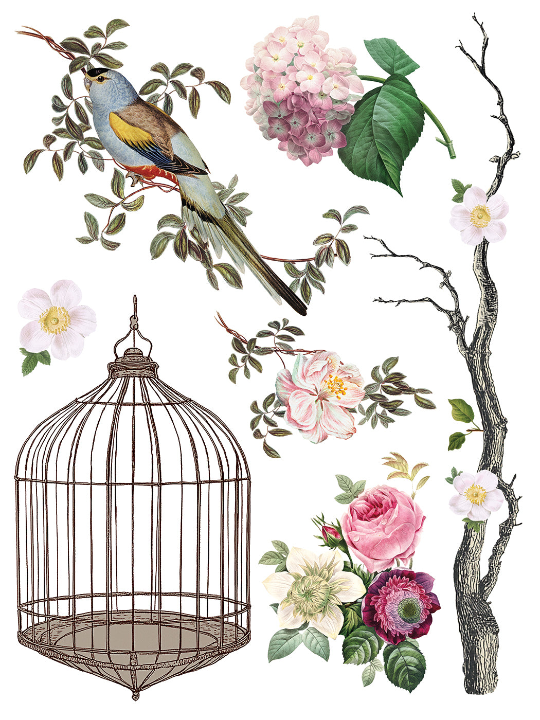 Menagerie IOD Decor Transfer *NEW*