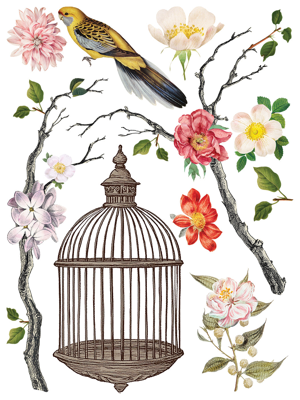 Menagerie IOD Decor Transfer *NEW*