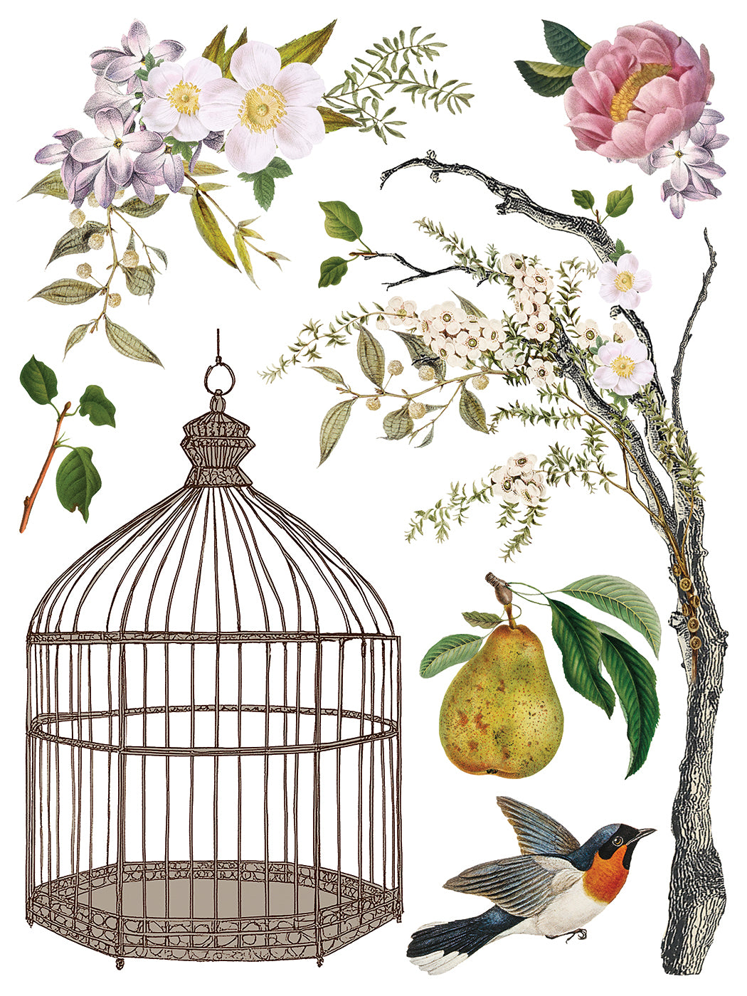 Menagerie IOD Decor Transfer *NEW*