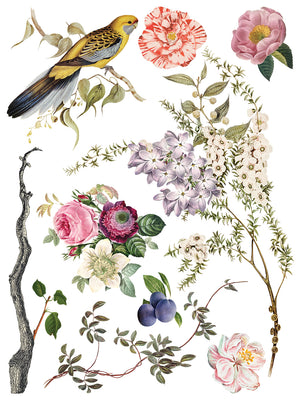 Menagerie IOD Decor Transfer *NEW*