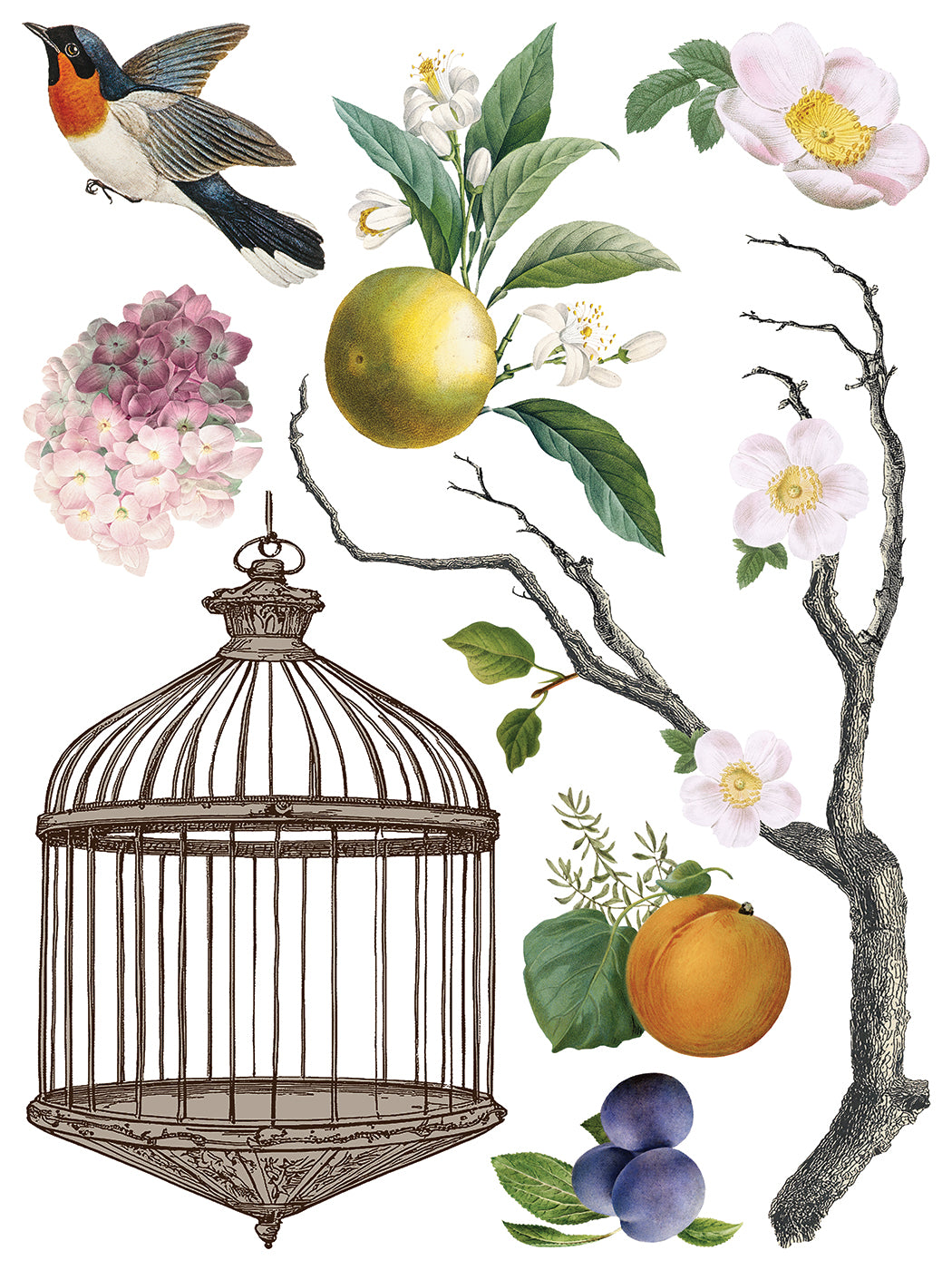 Menagerie IOD Decor Transfer *NEW*