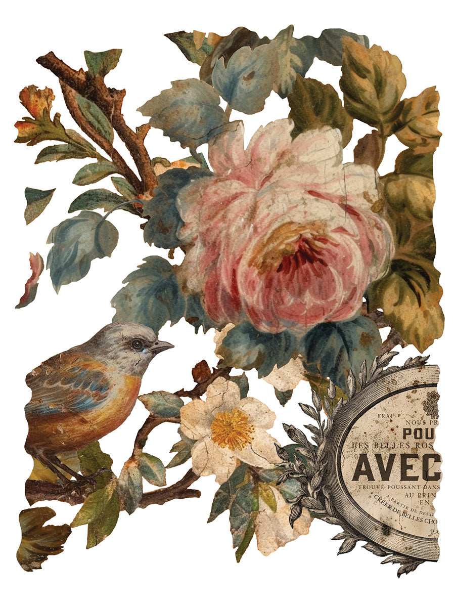 Joie des Roses IOD Decor Transfer