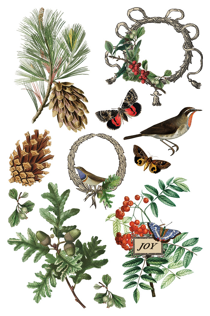 Winter Botanist IOD Decor Transfer *NEW*