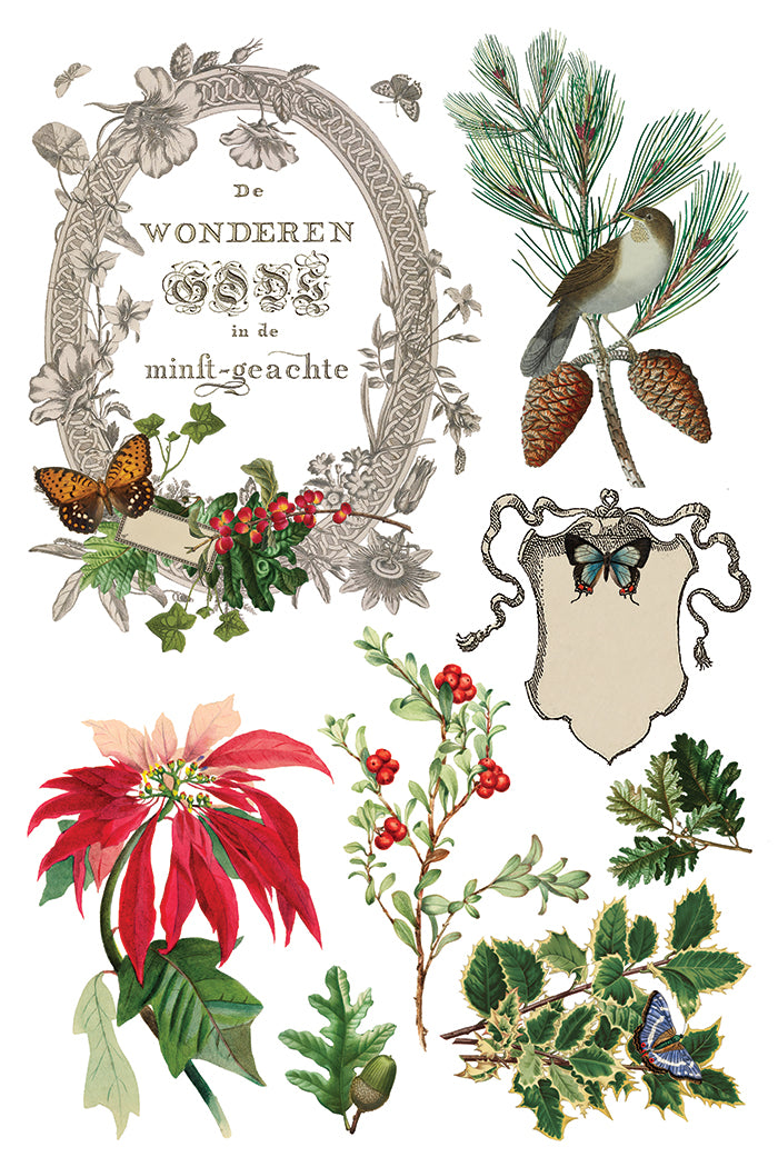 Winter Botanist IOD Decor Transfer *NEW*