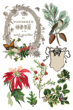 Winter Botanist IOD Decor Transfer *NEW*