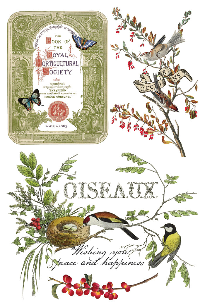 Winter Botanist IOD Decor Transfer *NEW*