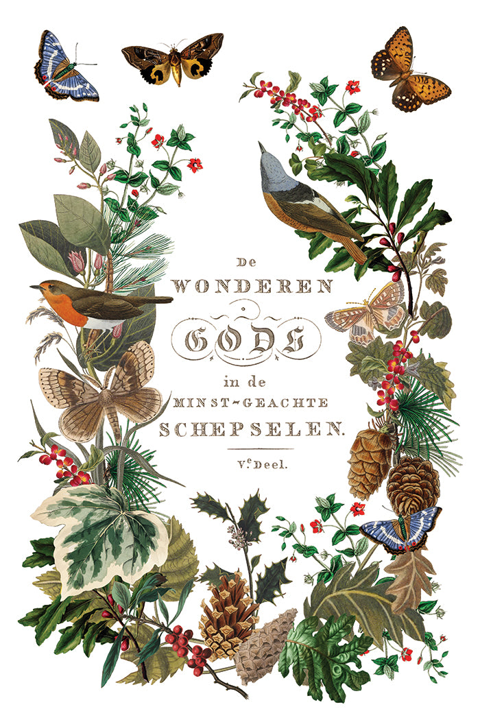 Winter Botanist IOD Decor Transfer *NEW*
