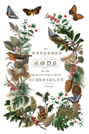 Winter Botanist IOD Decor Transfer *NEW*