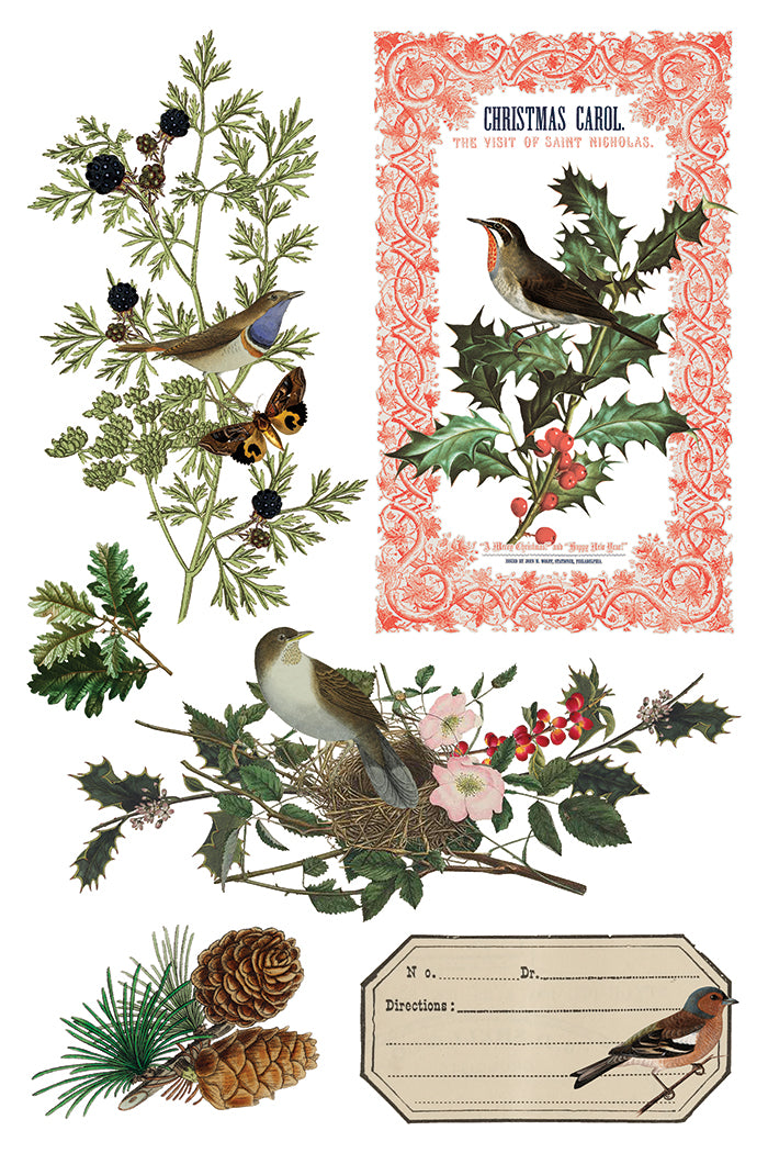 Winter Botanist IOD Decor Transfer *NEW*