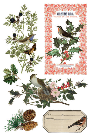 Winter Botanist IOD Decor Transfer *NEW*