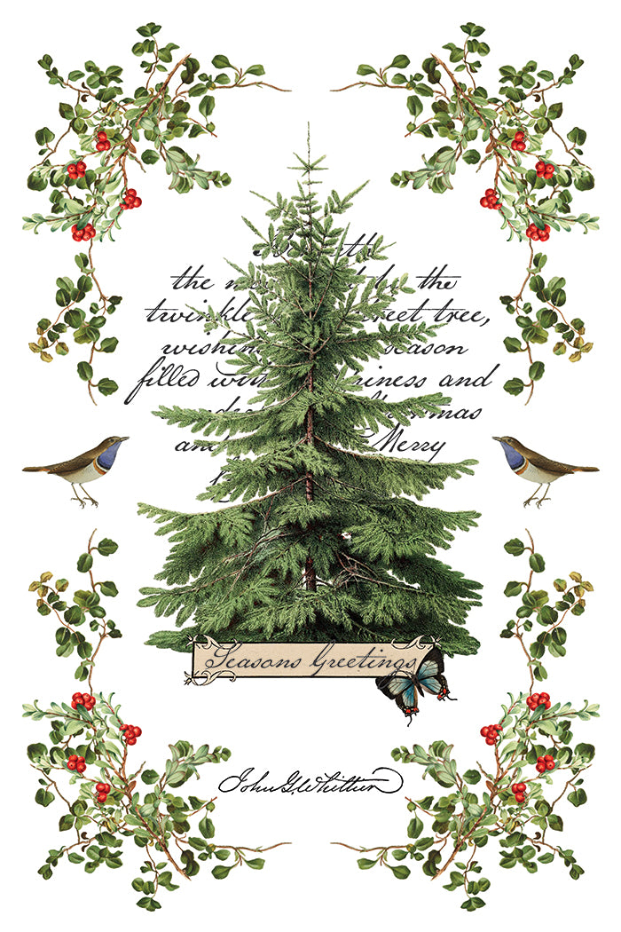 Winter Botanist IOD Decor Transfer *NEW*