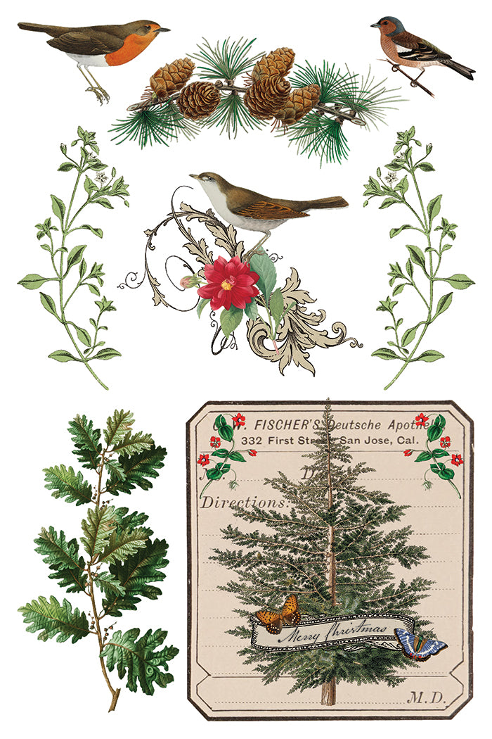 Winter Botanist IOD Decor Transfer *NEW*