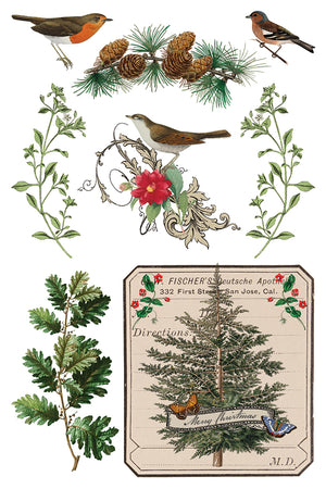 Winter Botanist IOD Decor Transfer *NEW*