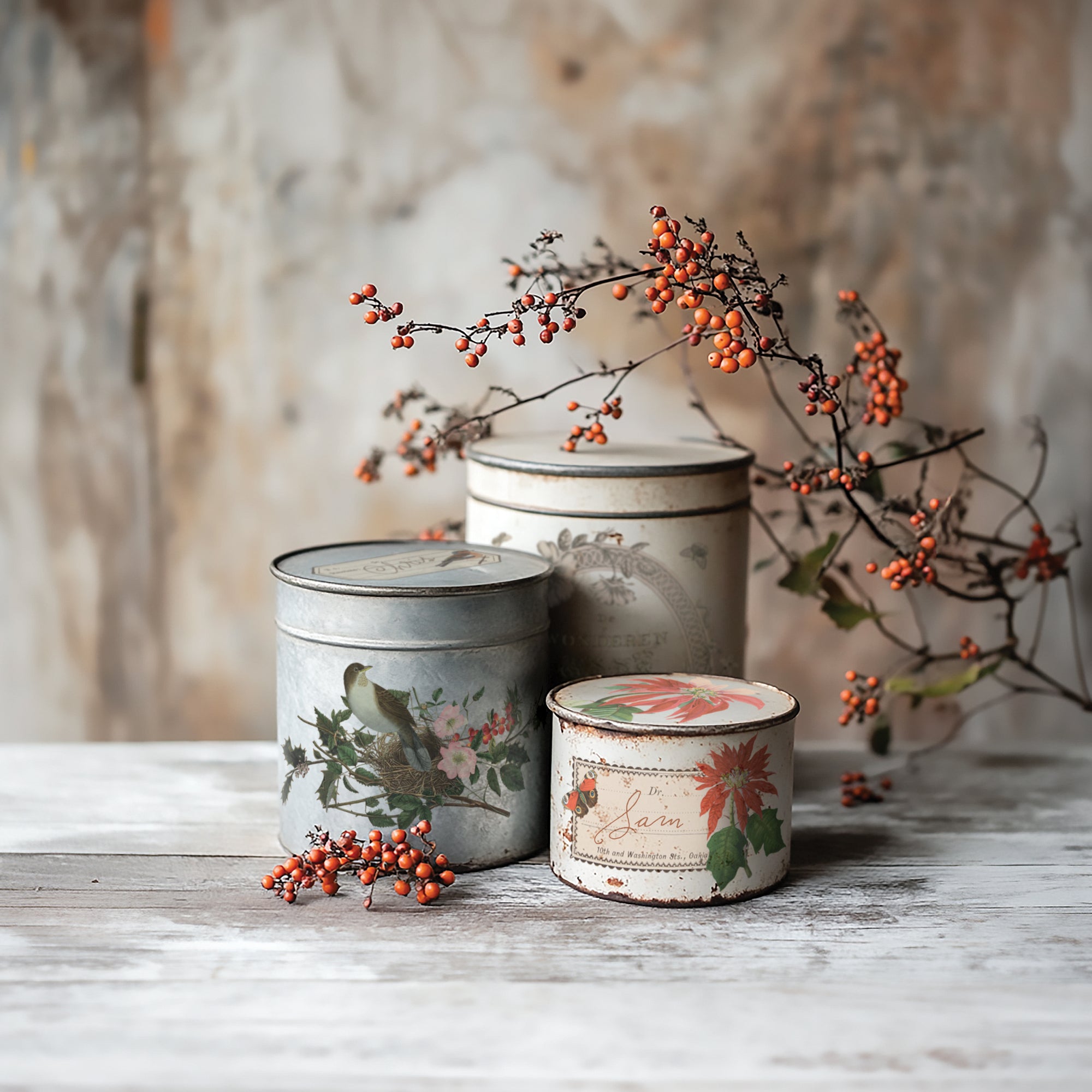 Winter Botanist IOD Decor Transfer *NEW*