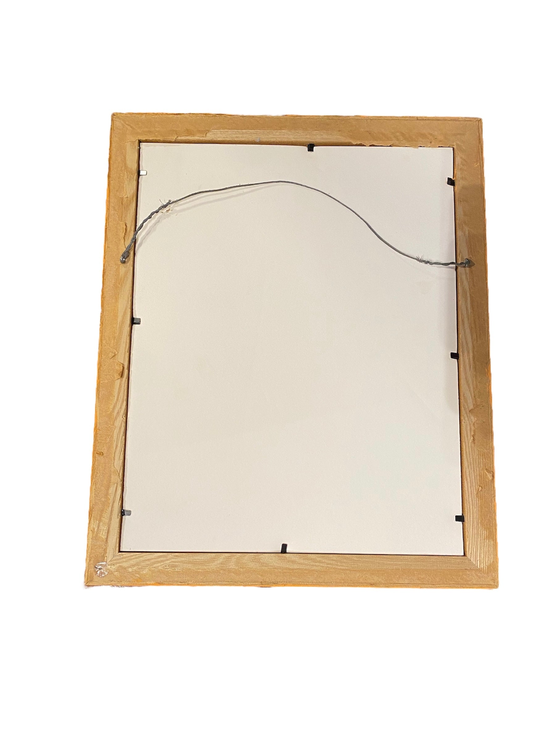 Fresh Vegetables Original Ink and Colour by Peter Sheeler