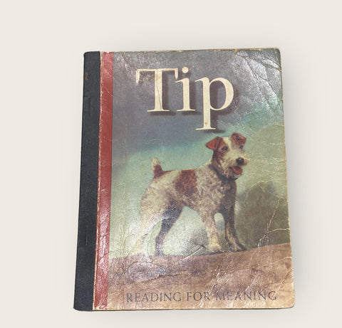 Tip - A Houghton Mifflin Children's Reader