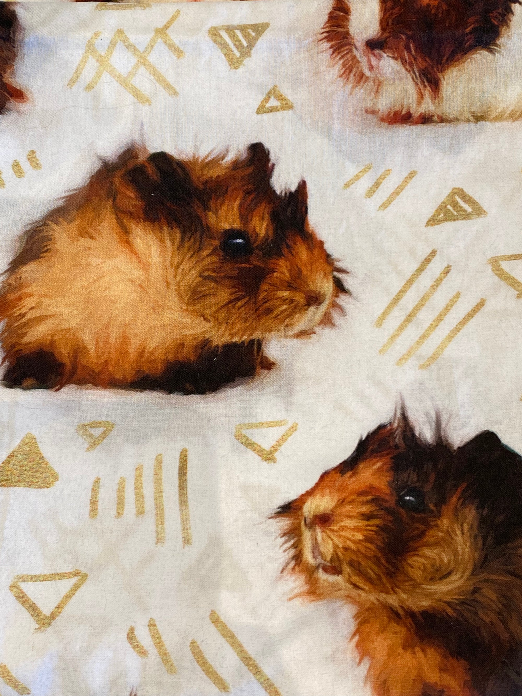 Guinea Pig Fabric