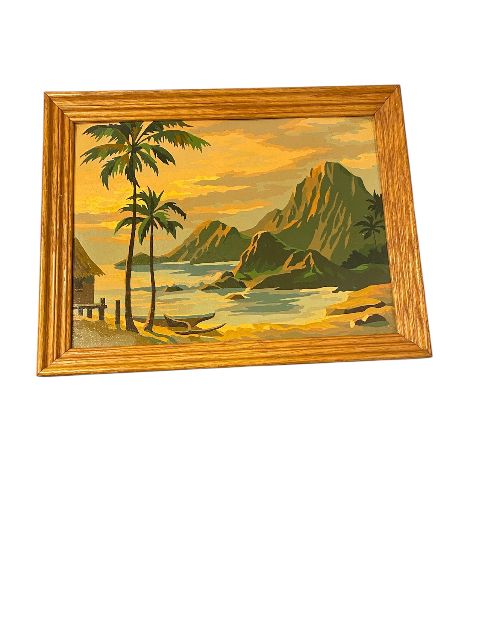 Tropical Paint-by-Number (Vintage)