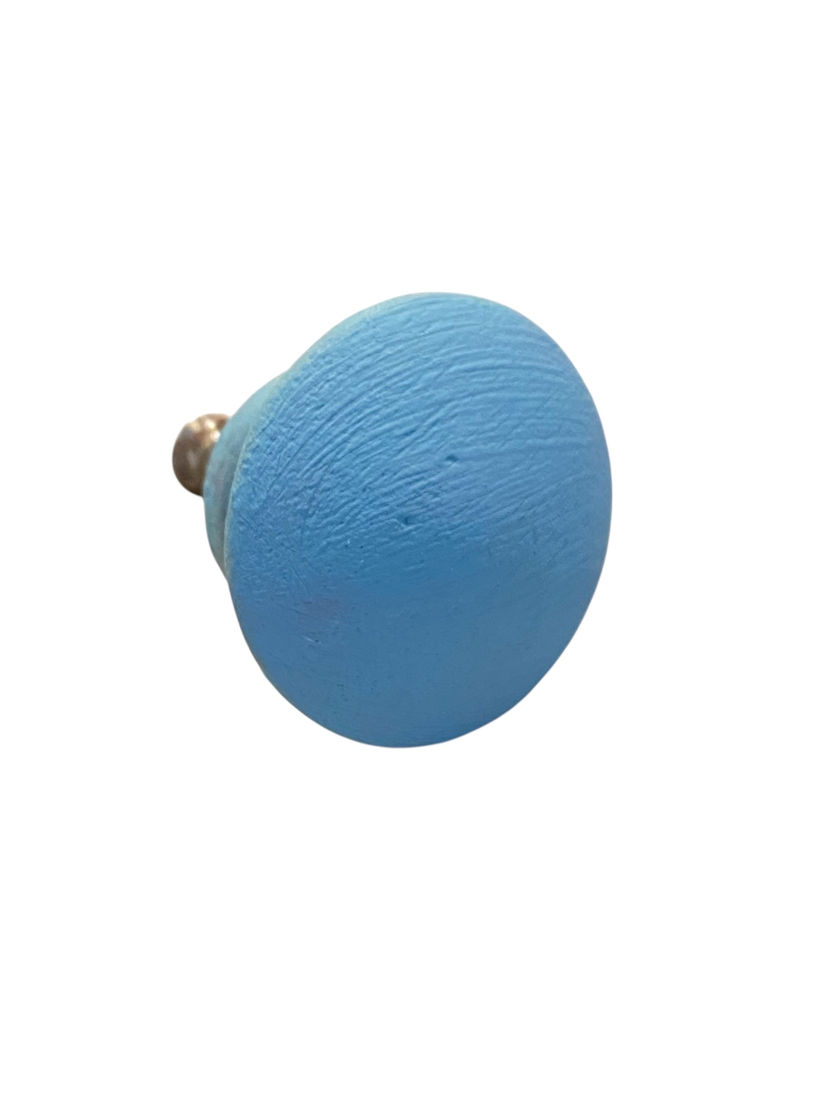 Reclaimed Blue Painted Wood Knob