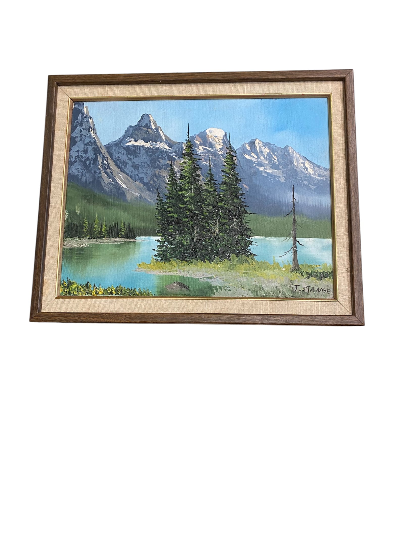 Mountains and Lake Oil Painting by J.Stange