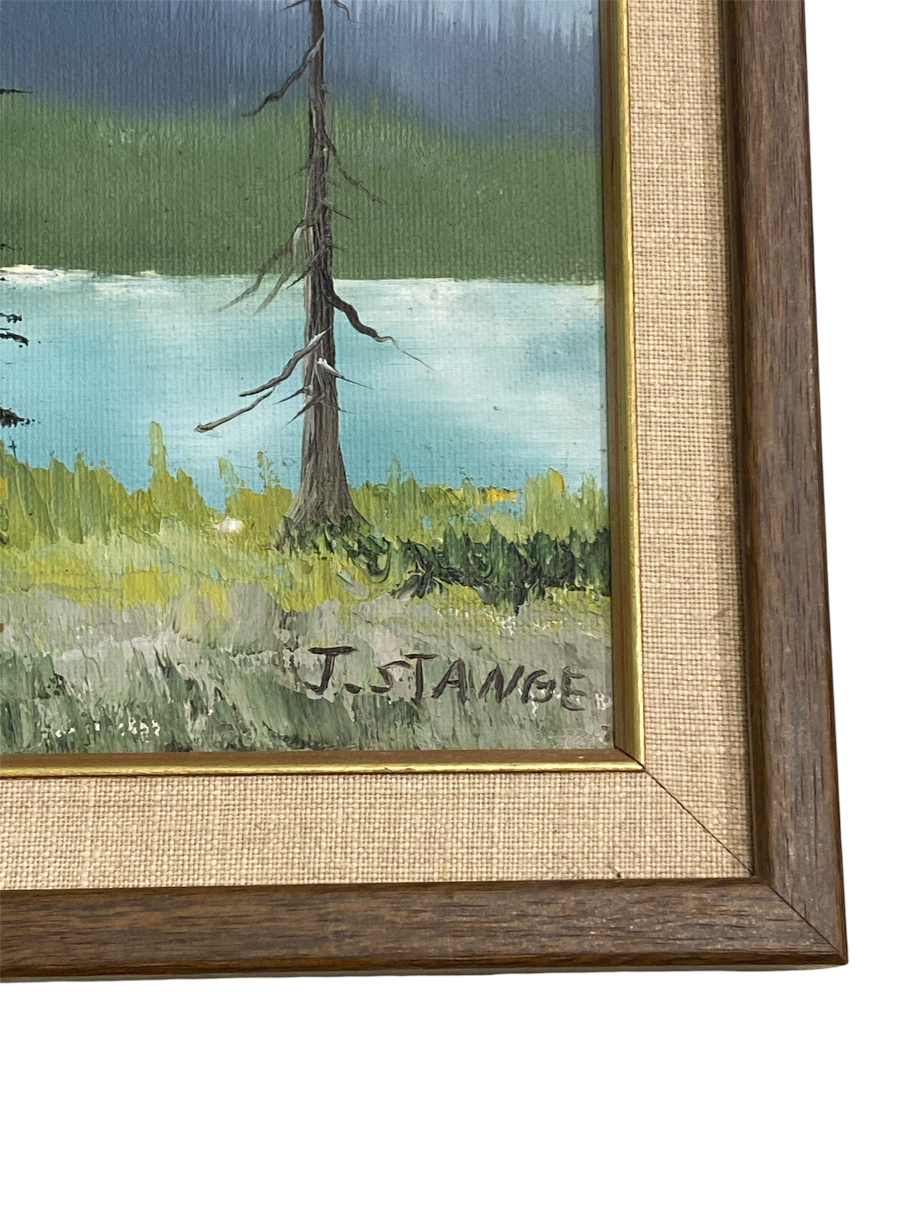 Mountains and Lake Oil Painting by J.Stange