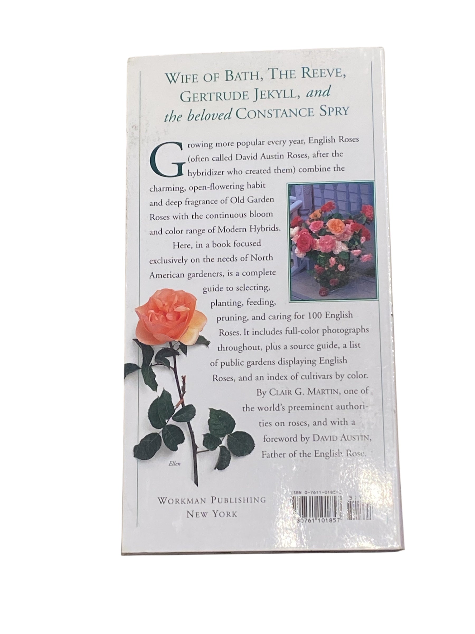 100 English Roses for the American Garden