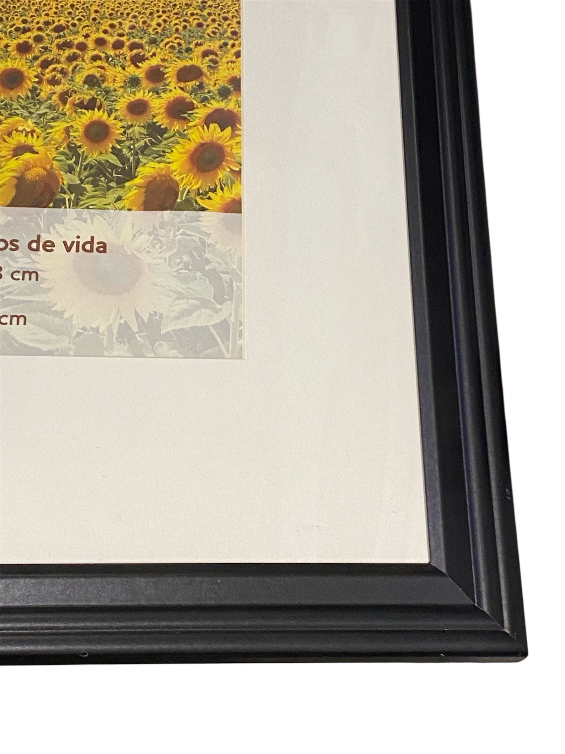 Extra-Large Black Frame with Matte and Glass