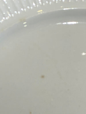 Apollo Genuine New Zealand Ironstone Dinner Plates