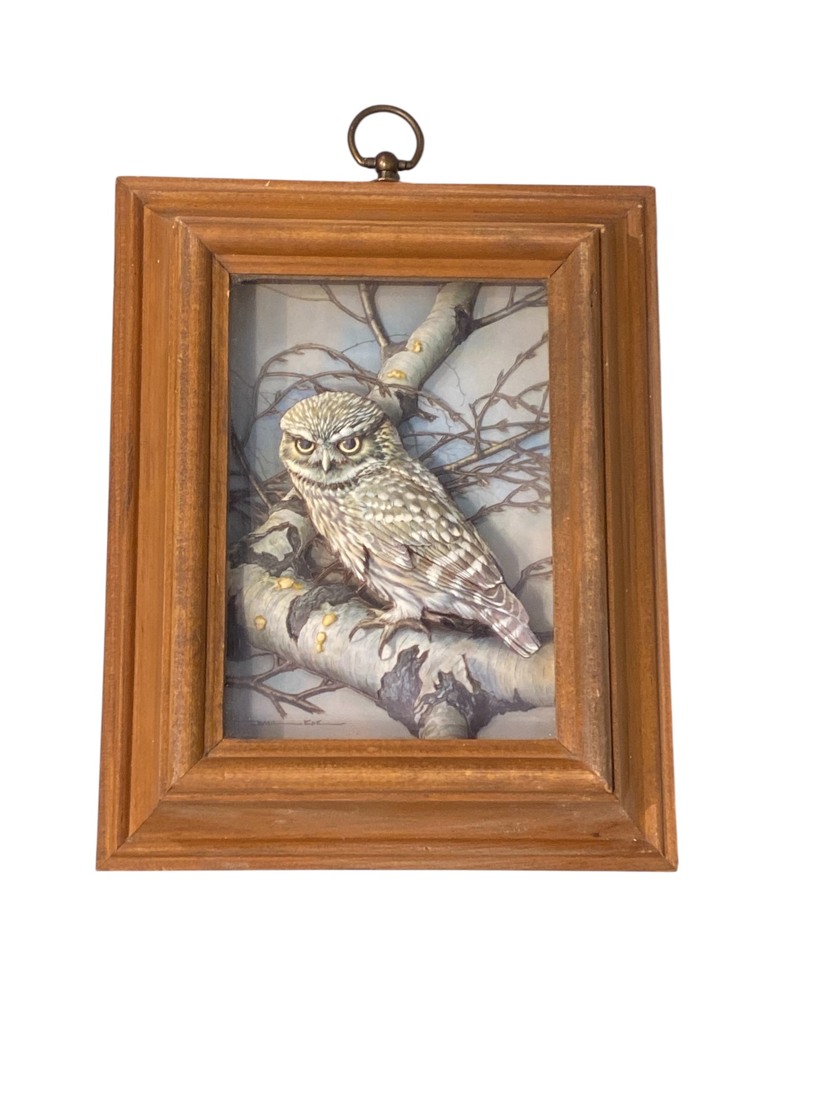 Basil Ede Vintage 3D Paper Owl in Wood Frame