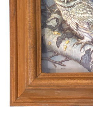 Basil Ede Vintage 3D Paper Owl in Wood Frame