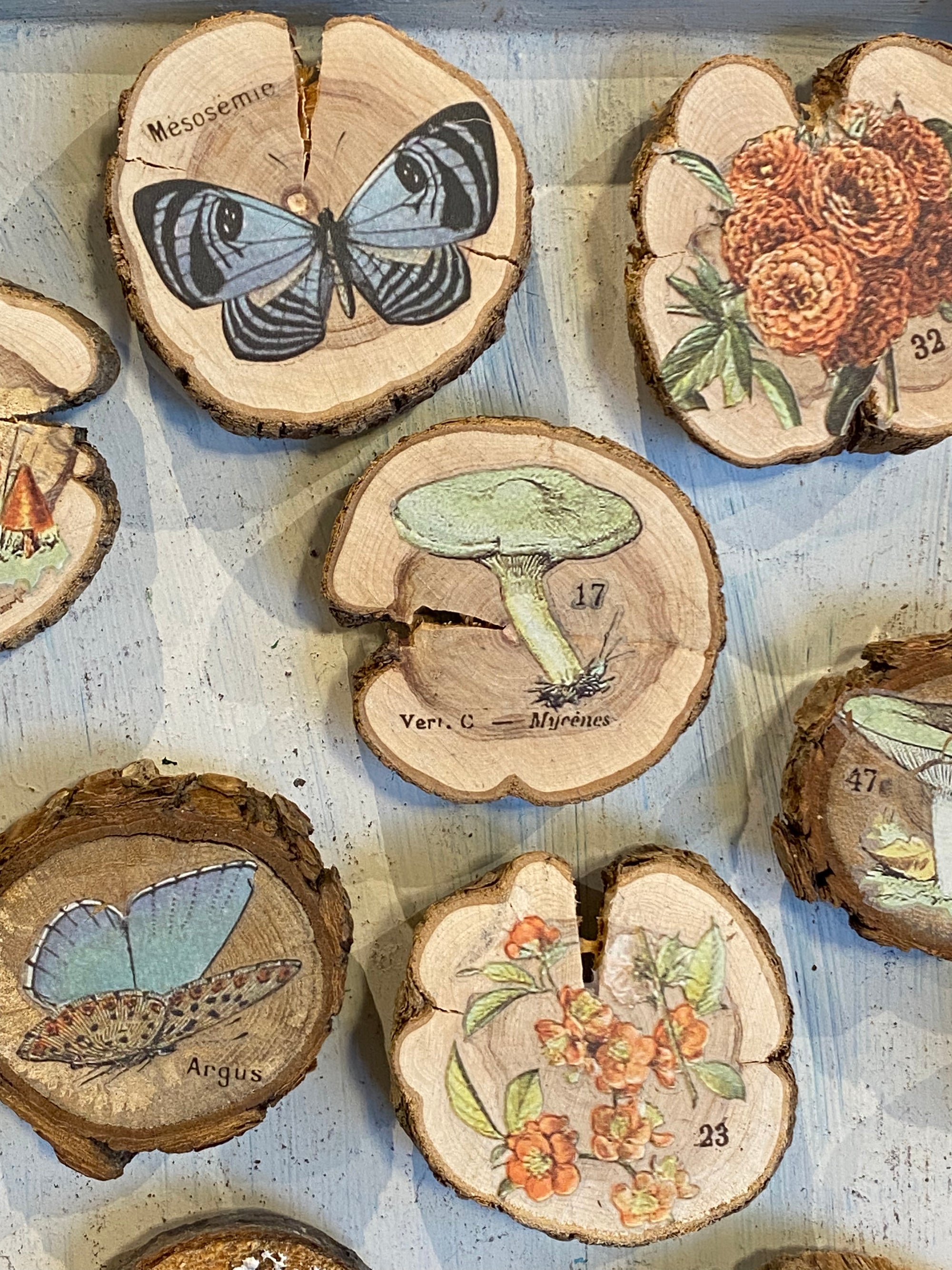 Wood Slice Magnets