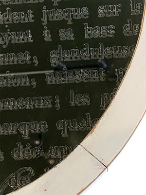 White Oval Mirror with Script and Roses