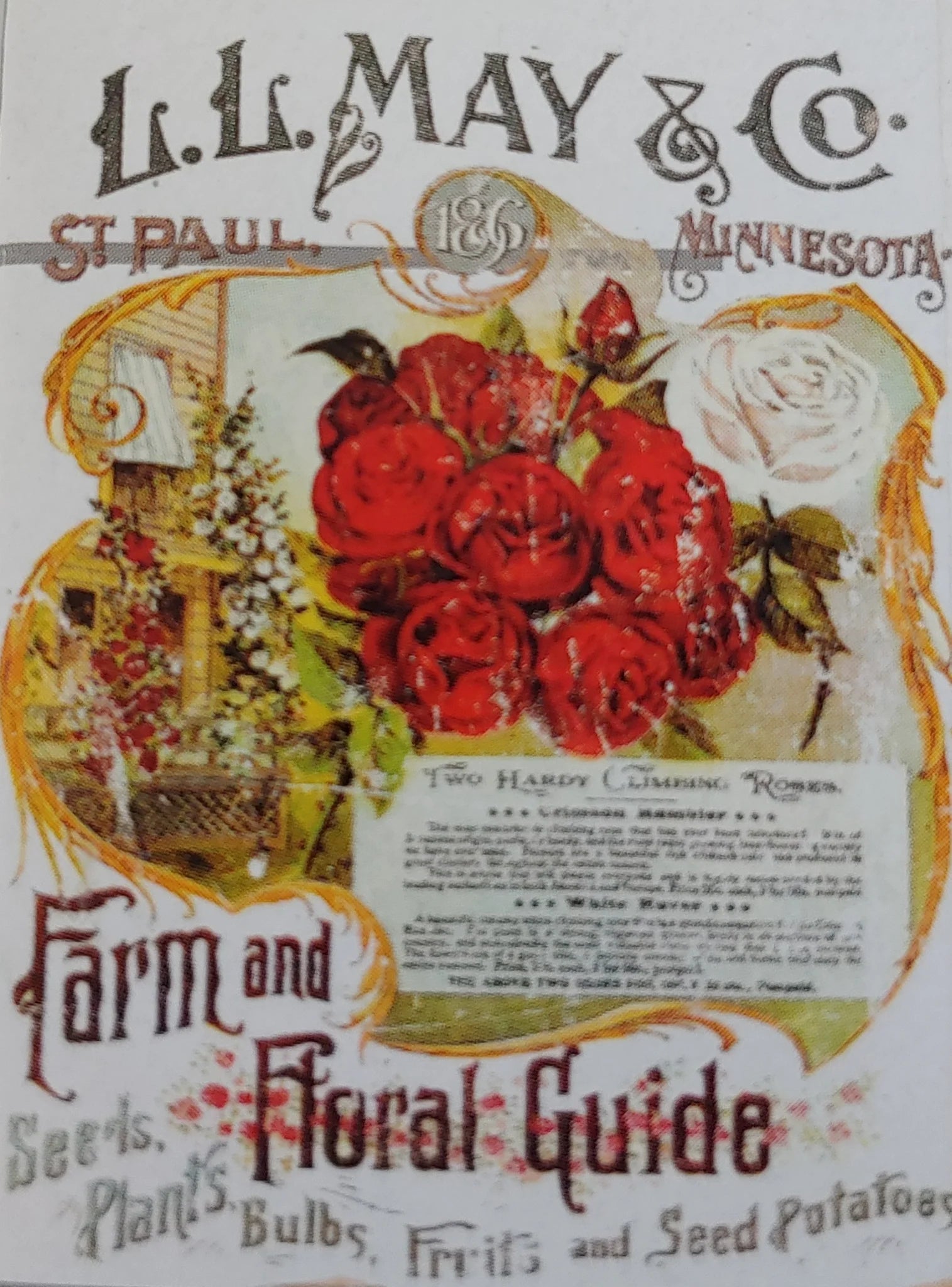 LL MAY II IOD Decor Transfer