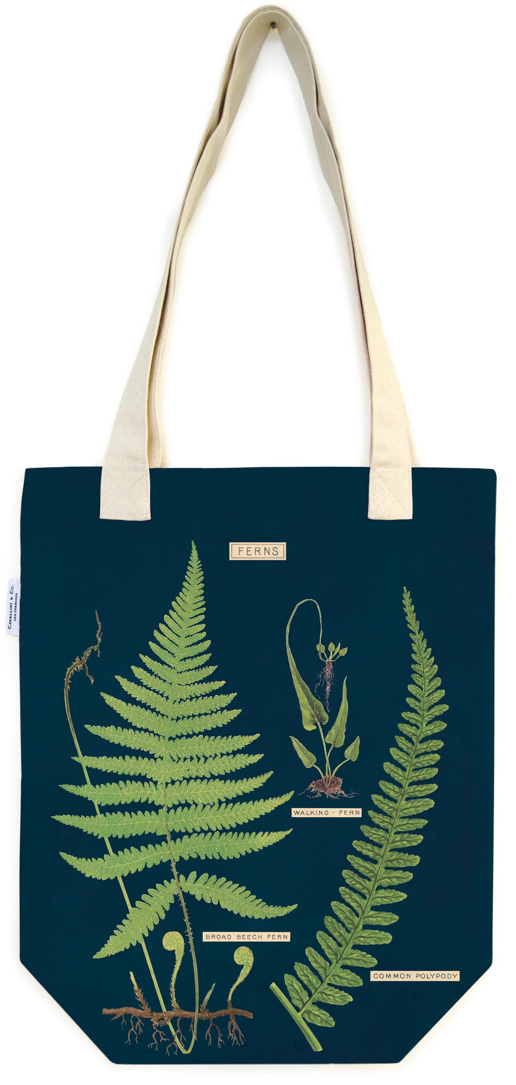 Ferns Tote