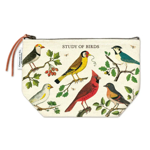 Study of Birds Pouch
