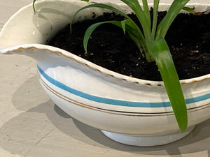 Spider Plant in English Blue and Gold Gravy Boat