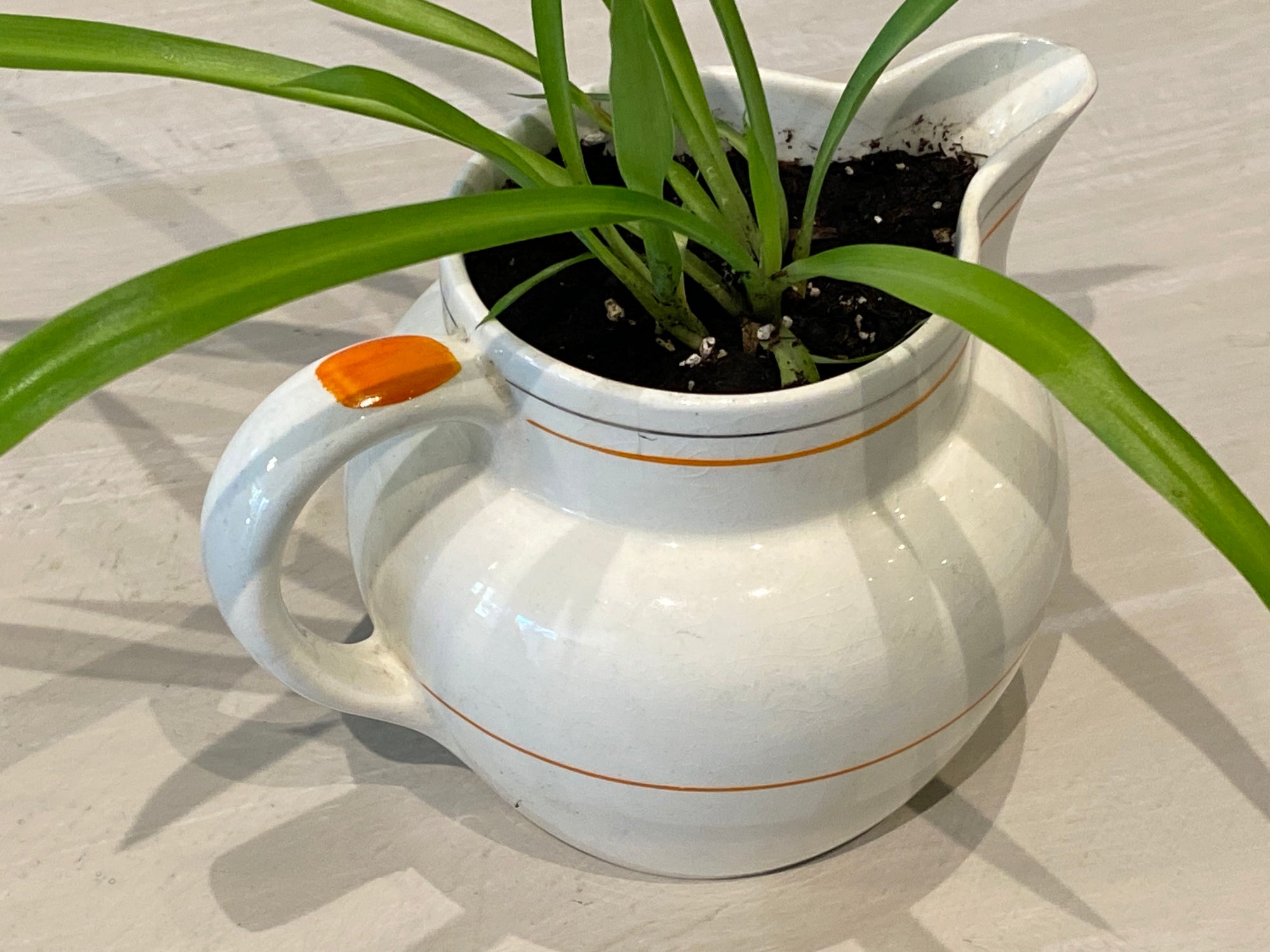 Spider Plant in Retro Orange, Silver, and Cream Pitcher