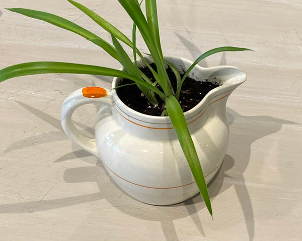 Spider Plant in Retro Orange, Silver, and Cream Pitcher