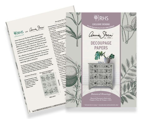 Botanical Drawings Decoupage Paper