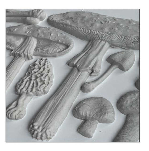 Toadstool Mould