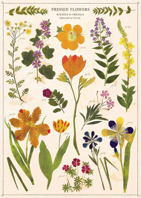 Pressed Flowers Paper