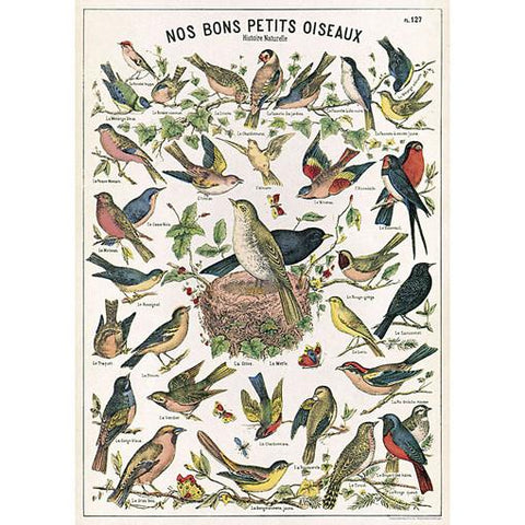 Birds Paper (Nos Bons Petits Oiseaux)